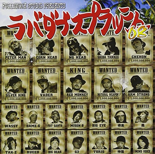 Paragon Storage Manager 2008 HD付きキャンペーン版 [CD-ROM] Windows