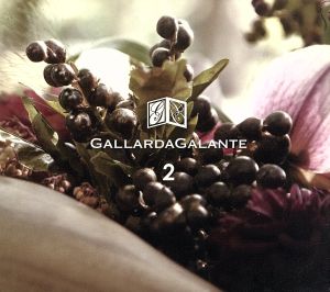 GALLARDAGALANTE 2 WALK IN THE FOREST [CD] V.A.