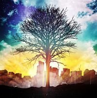 夕焼けの説明書 [CD] シリカ