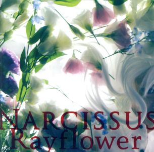 Narcissus [CD] Rayflower