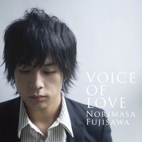 VOICE OF LOVE ~愛の力~ [CD] 藤澤ノリマサ