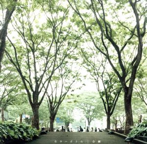 合鍵 [CD] カラーボトル