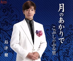 月のあかりで [CD] 島津健
