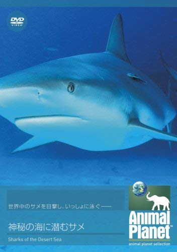 アニマル・プラネット 神秘の海に潜むサメ [DVD] [レンタル落ち] [DVD]