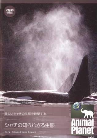 アニマル・プラネット シャチの知られざる生態 [レンタル落ち]