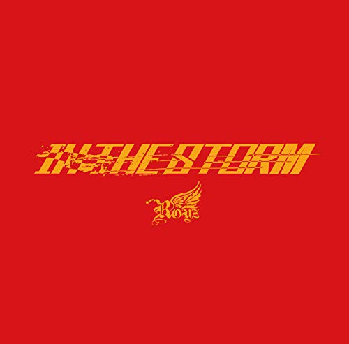 IN THE STORM (初回限定盤 Atype) [CD+DVD] [CD] Royz