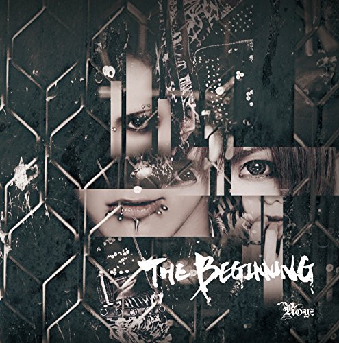 ＴＨＥ ＢＥＧＩＮＮＩＮＧ 【Ｄ：通常盤】 [CD] Ｒｏｙｚ