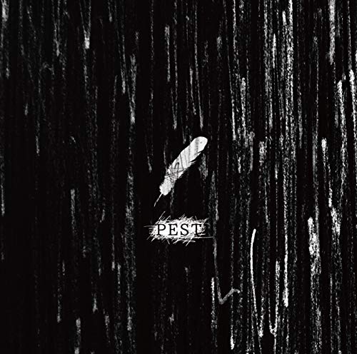 PEST【B:初回限定盤】 [CD] コドモドラゴン