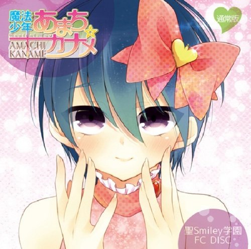 聖Smiley学園 学生課DISC「魔法少年あまち☆カナメ」通常版 ドラマCD [CD] 聖Smiley学園高等部生徒会 ドラマ vip店長 コゲ犬 YU らむだーじゃん けったろ みーちゃん むっち 少年T 赤飯; 蛇足