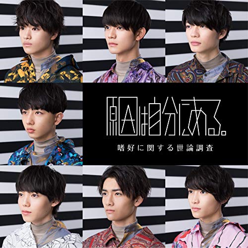 嗜好に関する世論調査(調査A) [CD] 原因は自分にある。