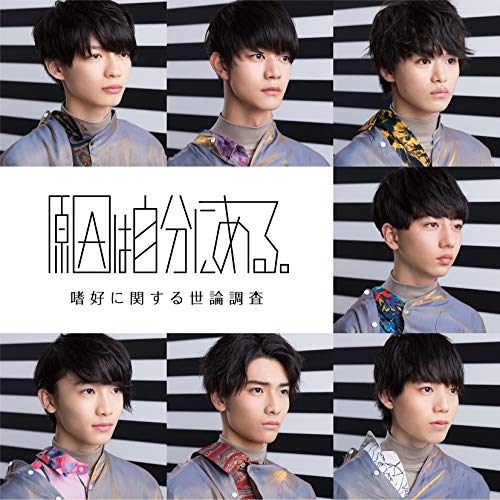 嗜好に関する世論調査(調査B) [CD] 原因は自分にある。
