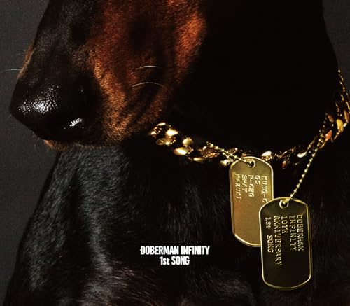 1st SONG(CD2枚組 10周年記念盤) (初回生産限定) [CD] DOBERMAN INFINITY