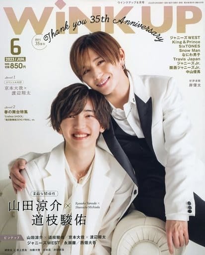 Wink up (ウィンク アップ) 2013年 06月号 [雑誌]