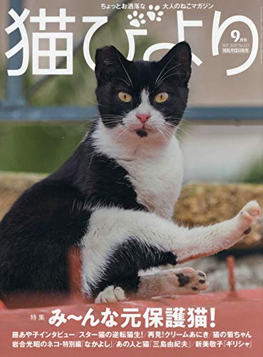 猫びより 2020年 09 月号