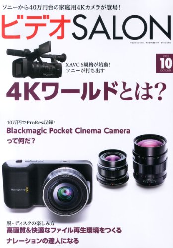 ビデオ SALON (サロン) 2013年 10月号 [雑誌] [雑誌]