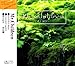 Mr.Children [CD] BGM(オルゴール)