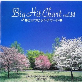 BIG HIT CHART vol.1４ [CD]