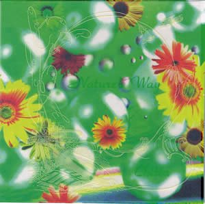 ネイチャーズ・ウエイ [CD] チッタ