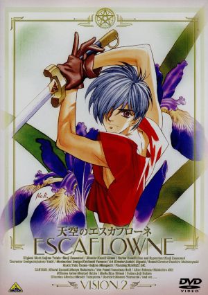 天空のエスカフローネ Vision 2 [DVD] [DVD]