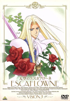 天空のエスカフローネ Vision 3 [DVD] [DVD]