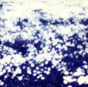 microcosmos [CD] OVUM