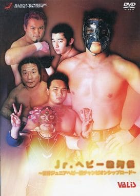 全日本プロレス ジュニアヘビー級激闘名勝負集 [DVD] [DVD]