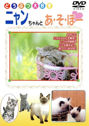 ニャンちゃんとあそぼー [DVD] [DVD]