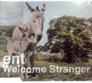 Welcome Stranger [CD] ent