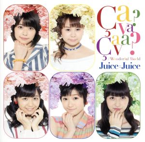 Wonderful World/Ca va Ca va (サヴァ サヴァ)(初回生産限定盤D)(DVD付) [CD] Juice=Juice