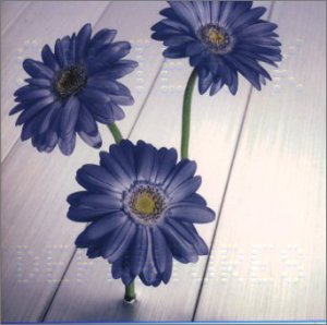 DEPARTURES [CD] Sister K MARC 小室哲哉 Kashif; Sister K