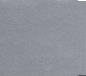 ロケット [CD] Plastic Tree Ryutaro Plastic Tree; 成田忍
