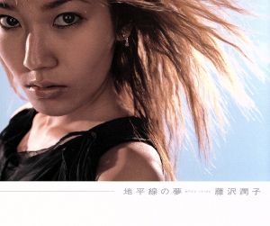 地平線の夢 [CD] 藤沢潤子 石井竜也 飯田高広 コンダキヨト; 藤沢潤子
