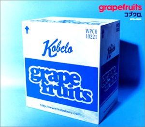 grapefruits [CD] コブクロ 小渕健太郎 黒田俊介; 笹路正徳