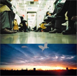 人生一度 [CD] SOFFet、 YoYo、 GooF、 SOFFet、 Fellows、 Nobuyuki Shimizu; Inc.