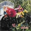ジェリービーン [CD] 太陽族 花男 つよし そら坊; 太陽族
