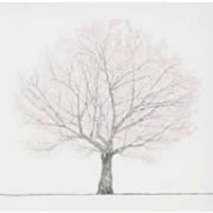 桜(初回予約限定盤)(DVD付) [CD] コブクロ、 小渕健太郎、 21STREETリスナーの皆さん、 黒田俊介、 コブクロ; コブクロ