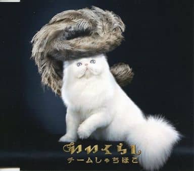 いいくらし 特別仕様盤 安藤ゆず回 Zepp Final 2014 ～ありがとうを伝えたくて～ Zepp DiverCityTokyo 2部 ～築地サーモンピンク(2014.4.6)に来てくれてどうもありがと！！ [Single， Maxi] [CD]