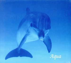 Aqua 海に浪漫を追求めて [CD] F.W.シュヌアー 金昌国 高橋知己 アルモ・サクソフォン・クァルテット 工藤重典 赤坂達三 水野信行 店村眞積 アンサンブル・オブ・トウキョウ 小林道夫 岡田知子 百武由紀 寺嶋陸也 バンベルグ交響楽団弦楽五重奏団 J.S.バッハ グノー モーツァルト サティ シューマン ブルッフ サン=サーンス ヴィヴァルディ; ヨハン・ミヒャエル・ハイドン