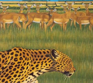 Zoo [CCCD] [CD] Fantastic Plastic Machine
