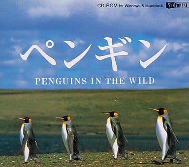 ペンギン PENGUINS IN THE WILD