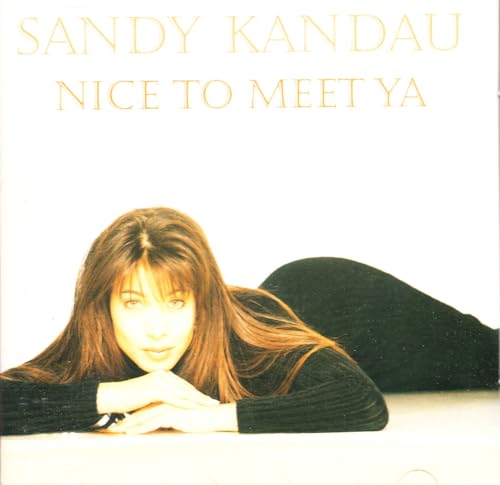 Nice To Meet Ya [CD]
