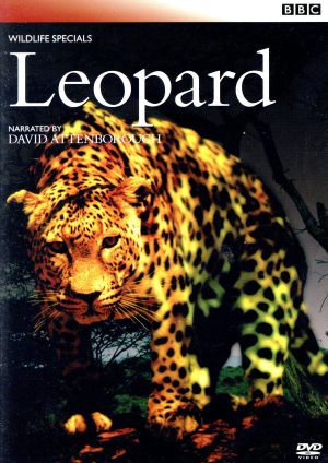 BBCワイルドライフ・スペシャル ヒョウ 闇からの使者 [DVD] [DVD]
