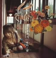 恋におちて~Fall in love~ [CD] 平石一美