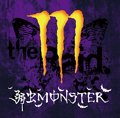 弱虫モンスター [初回限定盤D-type] [CD] the Raid.