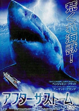 アフター・ザ・ストーム [DVD] [DVD]