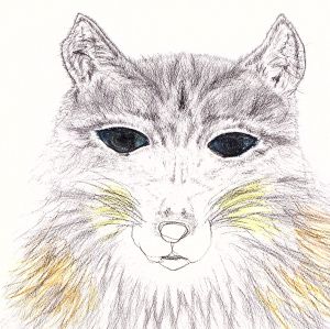 ケモノと魔法 [CD] 原田郁子