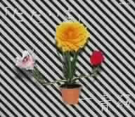 「ただいま」 [CD] 一青窈