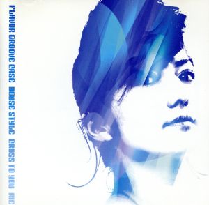 FLAVOR GROOVE HOUSE CASE [CD] rie