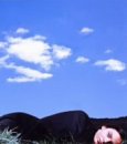 flow [CD] ZIGZO TETSU ZIGZO; 土方隆行
