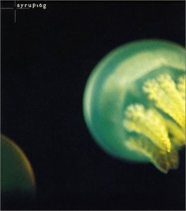 リアル [CD] Syrup16g 五十嵐隆 河野圭; Syrup16g